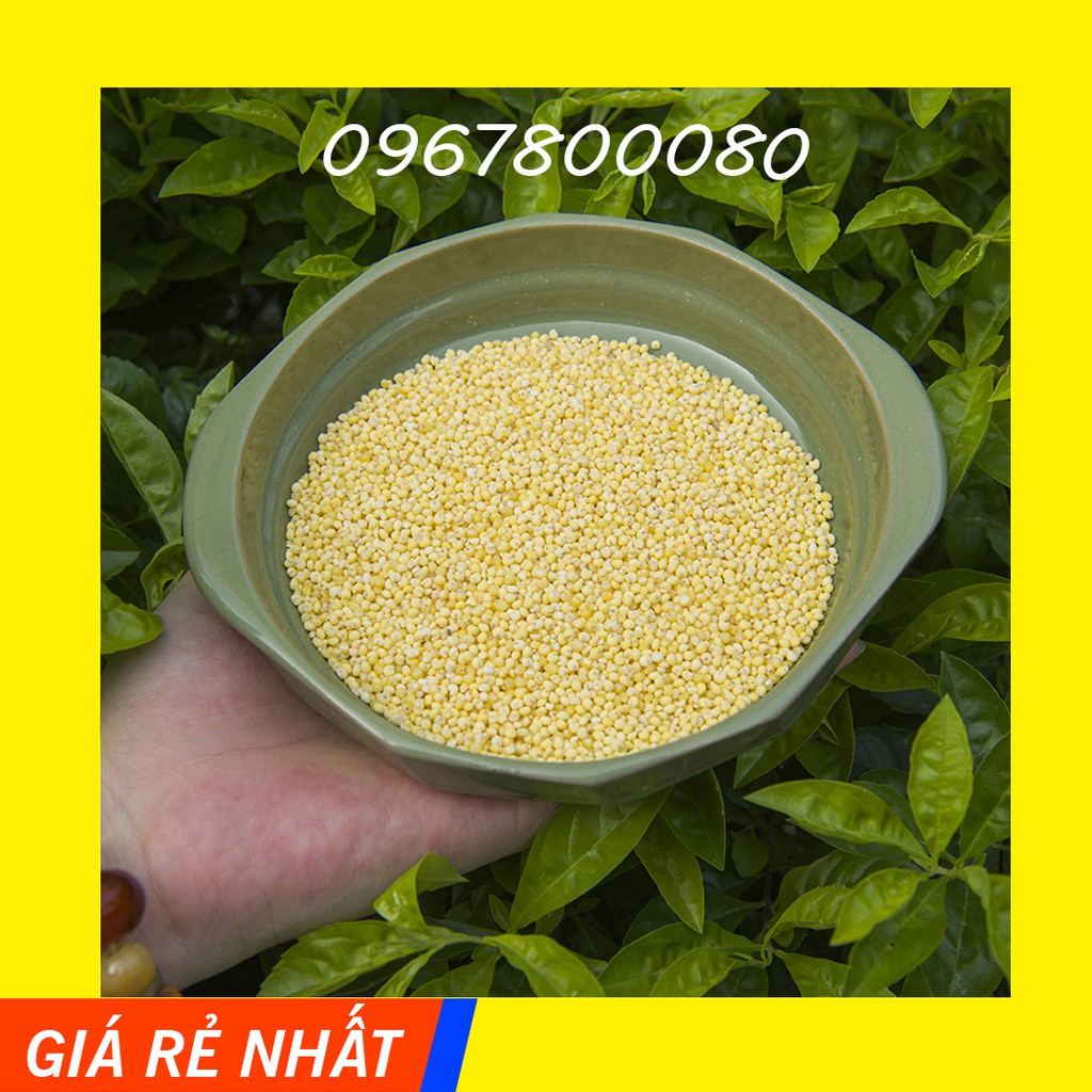 500g Hạt Kê nếp Nghệ An loại 1 không sạn | BigBuy360 - bigbuy360.vn