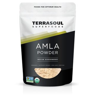 Bột quả lý gai (amla) hữu cơ Terrasoul 170g