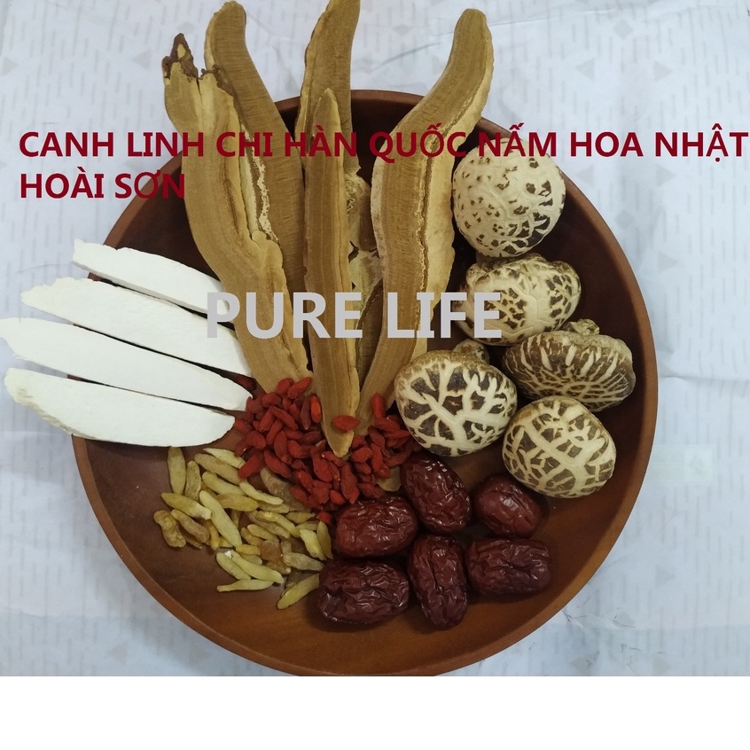 Canh Linh chi kê cốt thảo giải độc gan/ Linh chi ốc bào ngư/ Linh chi hoài sơn - Nguyên liệu nấu canh dưỡng sinh