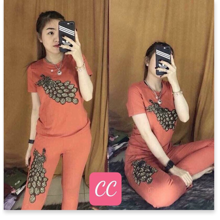 SET ĐỒ BỘ NỮ THUN,CHẤT LIỆU VÃI THOÁNG MÁT VÀ CO GIẢN 4C  THỜI TRANG KME.STORE