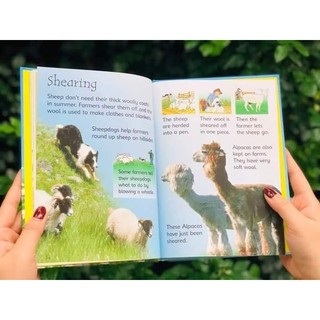 Bộ nhập 10q - Usborne Biginners Animals