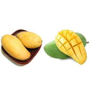 Xoài Xanh giống Thái Thơm Ngon Giao hỏa tốc 1h