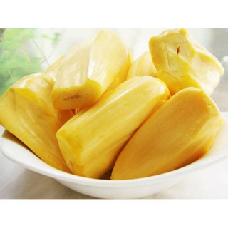 TẶNG 1 GÓI SIÊU LÂN_Cây mít thái không hạt