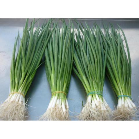 Hạt hành lá gốc trắng - gói 2 gram