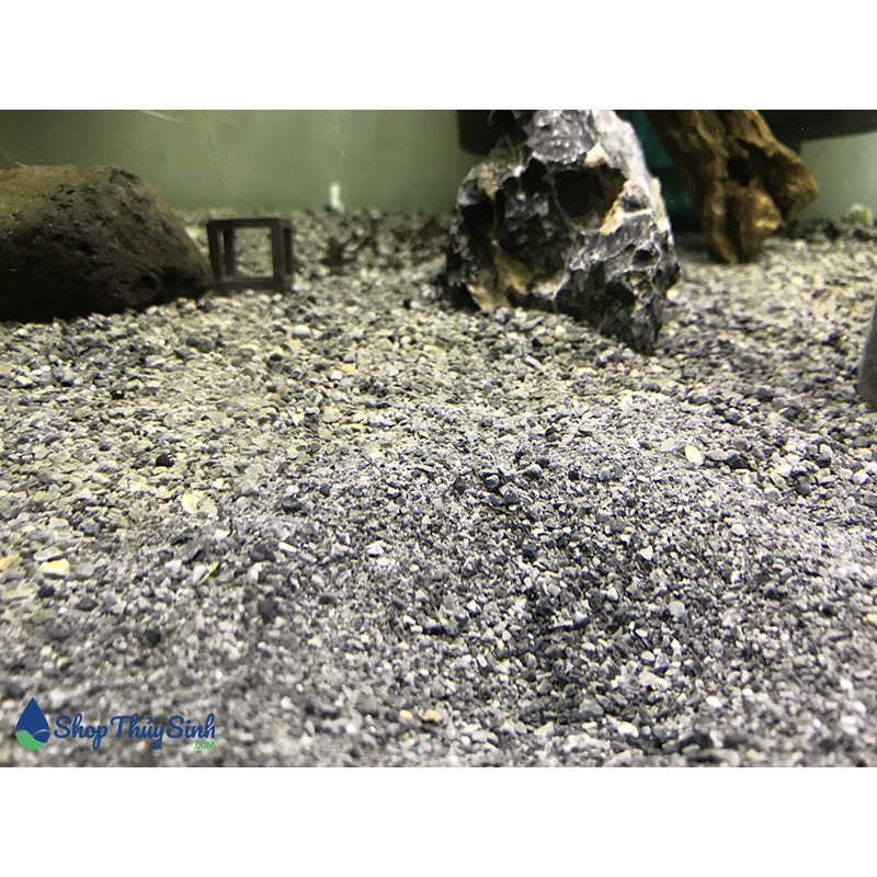 Onyx sand loại cát nền nuôi tép sula và tép màu