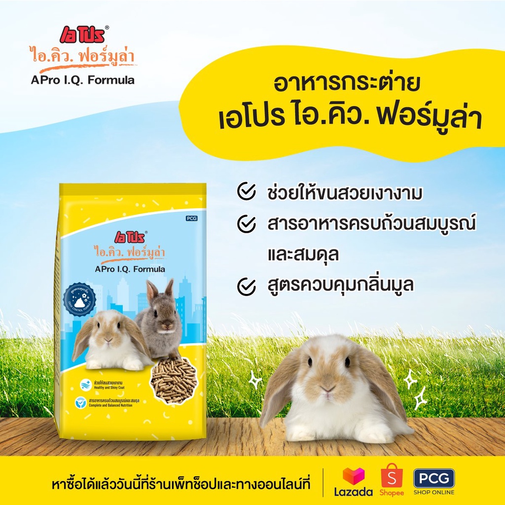 Nén thỏ APro I.Q Formula 1kg 🐶 FREE SHIP 🐶 Cung cấp dinh dưỡng tốt nhất cho thỏ