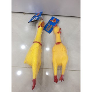 gà bóp cổ kiêu nhỏ