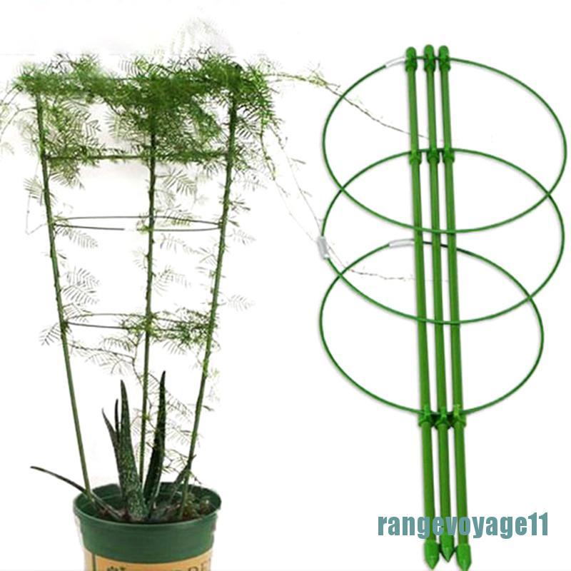 Dây Thừng Hỗ Trợ Trồng Cây Leo Siêu Bền Tiện Dụng