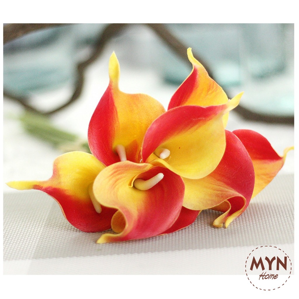 HOA RUM CALLA LILY Gốc Nam Phi trang trí đẹp dài 34cm