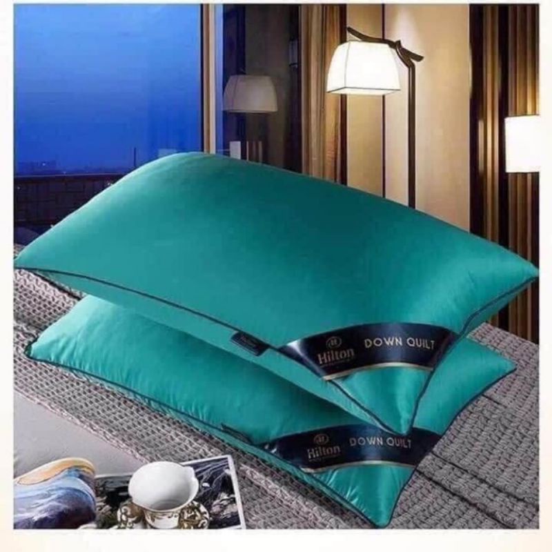 Ruột gối đầu cao cấp Pillow Hilton Ép Hơi, Có Khoá Kéo - Nhiều Màu Tiêu Chuẩn 5* - Kích Thước 45x65cm