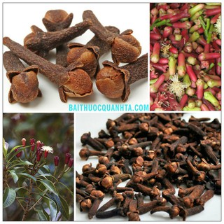 nụ đinh hương khô loại ngon 100g