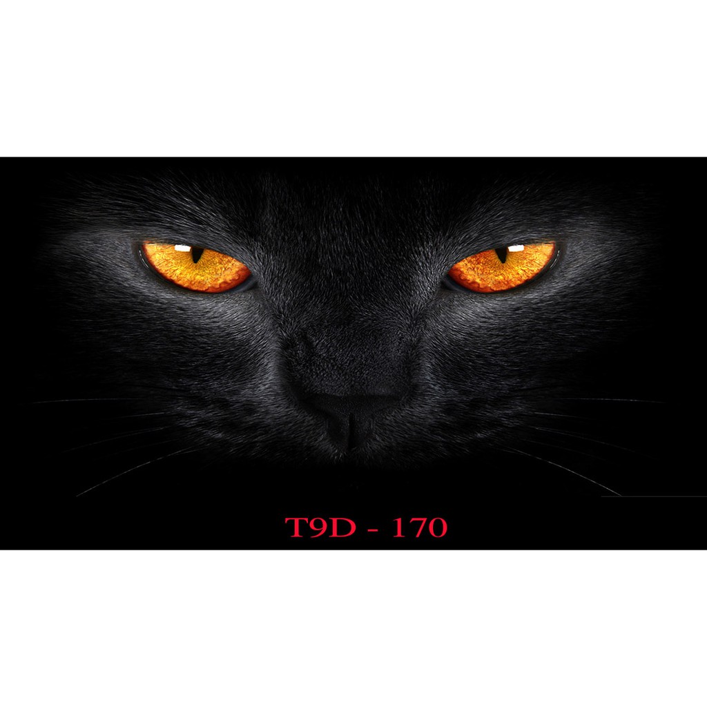 Tranh 3D bể cá mã T9D-170 kt (60,80,90,100,1m2,1m5,1m6)