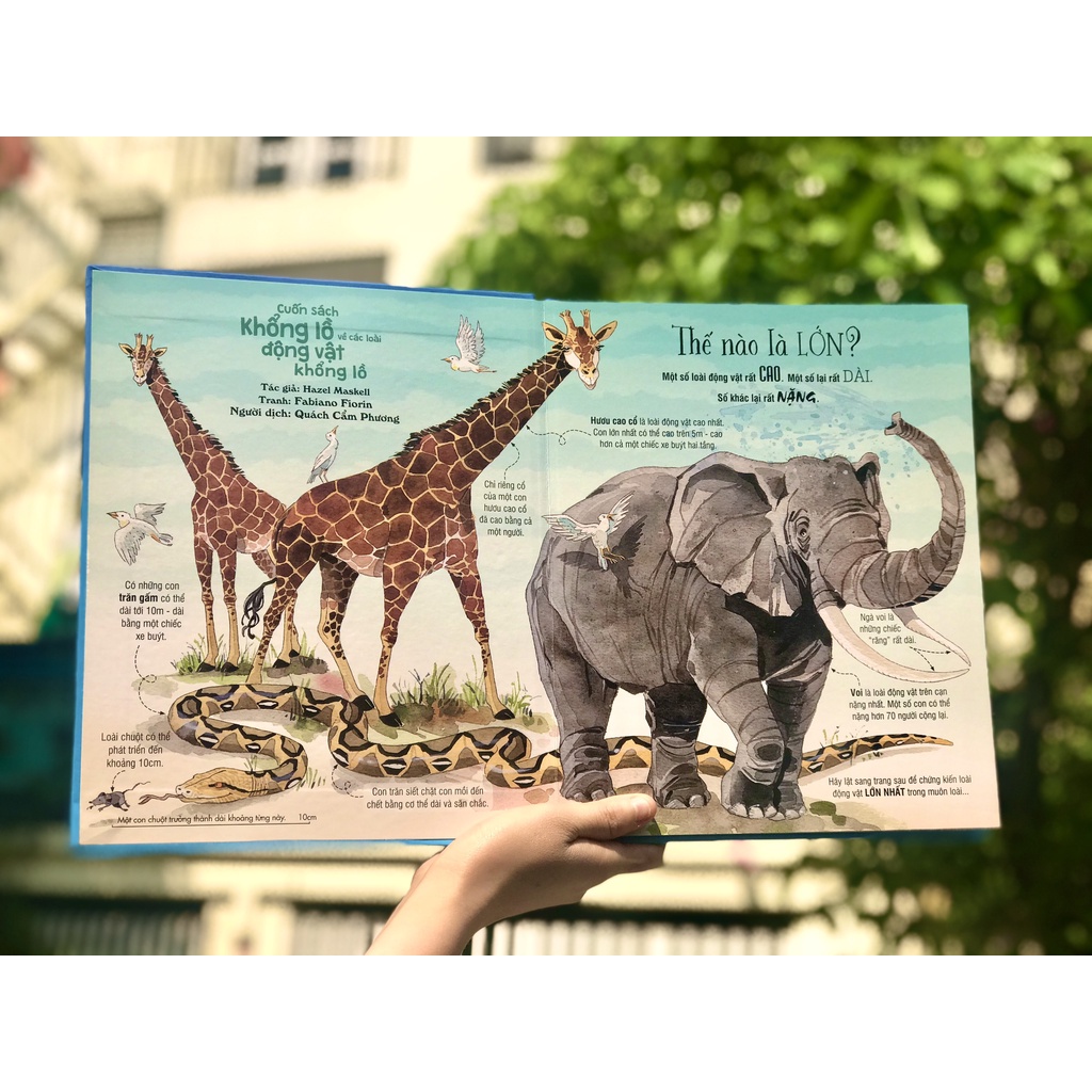 Sách - Big book - Cuốn sách khổng lồ về các loài động vật khổng lồ - đinh tị