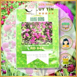 Hạt Giống Hoa Cúc Bách Nhật Tím RD 848 gói 0.1gr