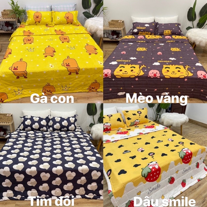 Set Ga gối Cotton poly ngộ nghĩnh, đáng yêu, màu mới nhất | BigBuy360 - bigbuy360.vn