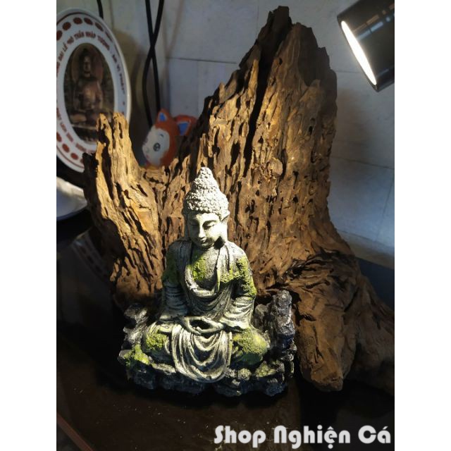 Tượng Phật thiền trang trí bể cá, bể bán cạn, bể thủy sinh Mô hình trang trí