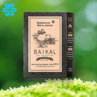 [Trà Tiểu Đường N9] Trà thảo mộc Siberian Baikal tea collection Herbal tea N9-Siberian Wellness - 30 túi - Date T9/2023
