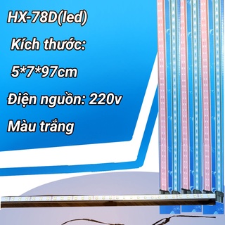 Đèn LED trang trí siêu rẻ bể cá cảnh