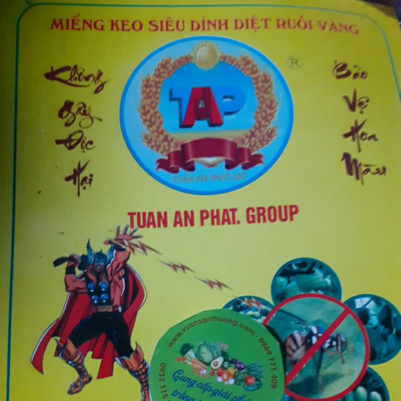 1 Miếng Bẫy Ruồi Vàng Hai Mặt, an Toàn Của Cty Tuan an phat Group