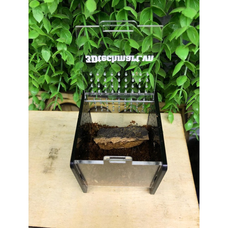 Hộp nuôi Nhện Sling 5-5-5cm