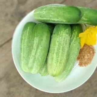 🥒🥒 DƯA CHUỘT NẾP SIÊU QUẢ THÁI LAN