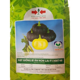 [100 hạt] Bí ăn non lai F1 HMT 48 (bí nhật)