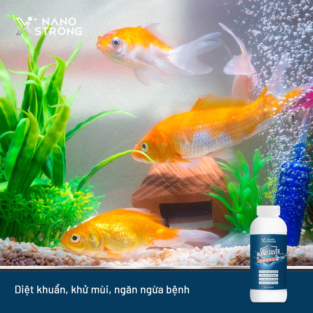NANO BẠC  AHT CORP  THUỶ SẢN XỬ LÝ NƯỚC AO NUÔI, XỬ LÝ TẢO, MÙI HÔI TANH, LÀM TRONG BỂ CÁ CHAI 1000ML