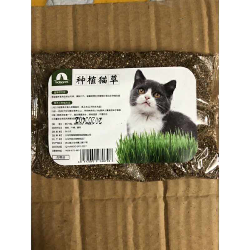 [Mã PET50K giảm Giảm 10% - Tối đa 50K đơn từ 250K] Bộ kit trồng cỏ mèo tiêu búi lông tăng chất xơ