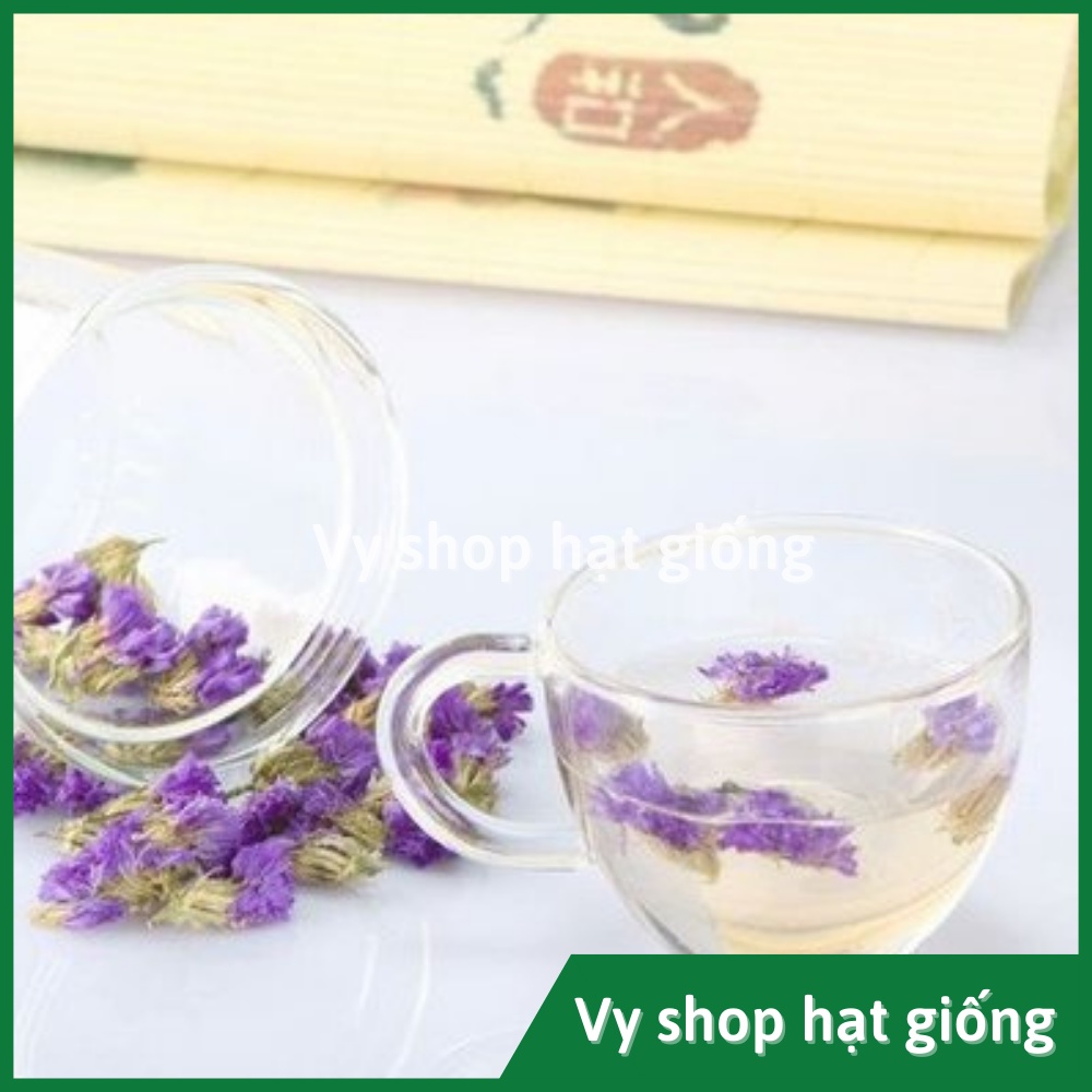 Hạt giống hoa salem Thái Lan gói 100 hạt mix màu