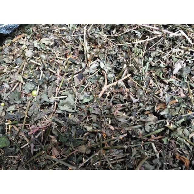 Cà gai leo khô ( gói 1kg ) bổ gan, điều trị các bệnh về gan