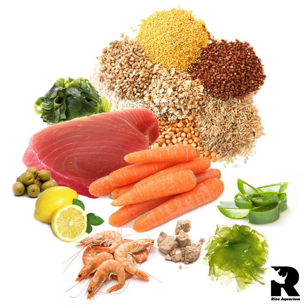 Thức Ăn PRODAC - Color Fish Food | Thức Ăn Khô Giúp Tăng Màu Cho Cá Cảnh Thủy Sinh
