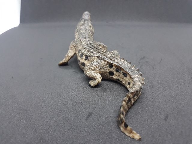 Mô hình đồ chơi khủng long. Cá sấu hoa cà.