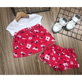 Combo 5b 200k