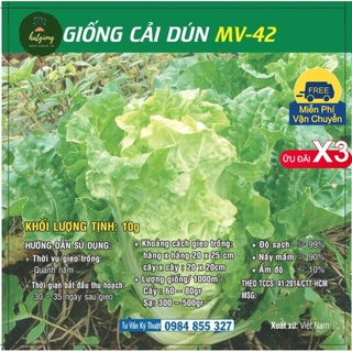 Hạt giống cải dún mv - 42