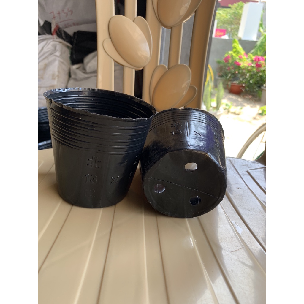 BẦU ƯƠM CÂY 13*12 ( DỊCH TRUYỀN CHO CÂY, KÍCH RỄ , MẦM CÂY XANH LÁ, LƯỚI CHE NẮNG...)