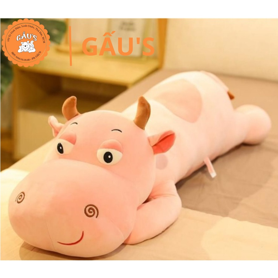 Gấu bông có mền Bò hồng dài ôm 70 cm  - GẤU SHOP