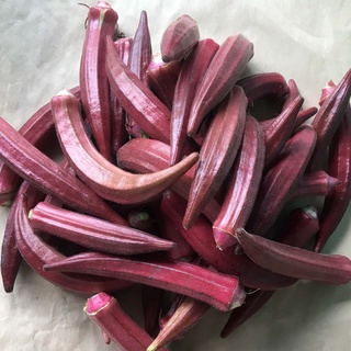 5Gram Hạt Giống Đậu Bắp Đỏ  (KM02)