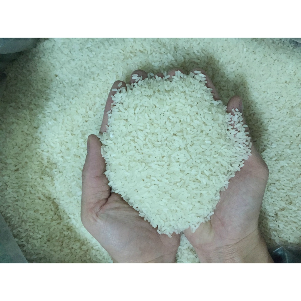 Gạo Quê Xi MOONFARM, size 5-10kg, Chuẩn Chất Lượng thumbnail