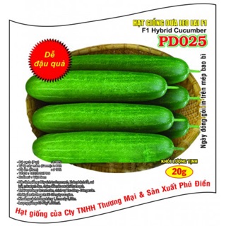 HẠT GIỐNG DƯA LEO F1 PD025