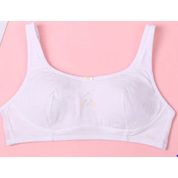 Bra / Áo Lá Cotton Nữ Sinh Hình Họa Mi Xuất Đông. A184. | BigBuy360 - bigbuy360.vn