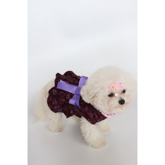 ĐẦM CÔNG CHÚA THÚ CƯNG