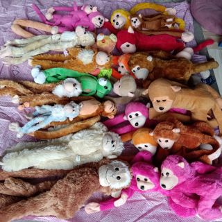 Gấu bông cua c út ơi ut