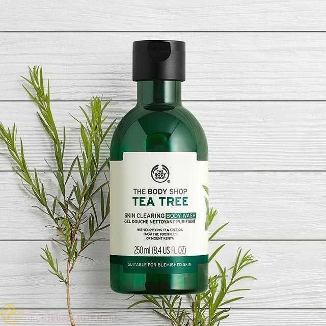 🍋 Sữa Tắm Tea Tree The Body Shop 250ml Hàng Chuẩn Công Ty 🍋 | BigBuy360 - bigbuy360.vn
