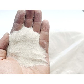 Cát trắng trang trí bể cá cảnh- tiểu cảnh 500gr và 1Kg