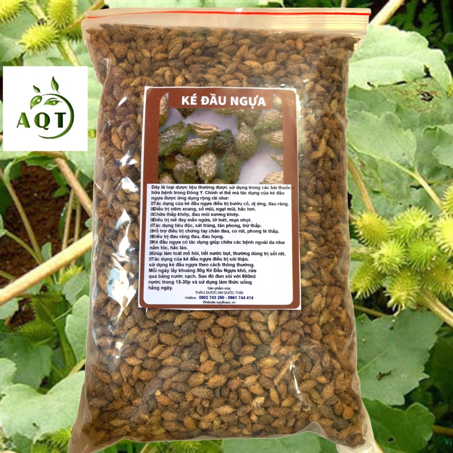 500g Ké Đầu Ngựa Khô, Sạch, Hỗ Trợ Người Bướu Cổ, Viêm Xoang