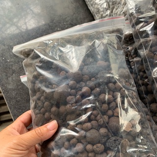 Dớn cọng hoặc rêu rừng hoặc sỏi nhẹ