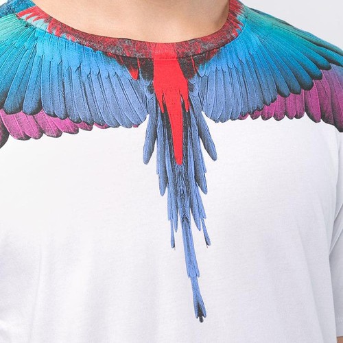 Áo thun cánh chim burlon hoạ tiết cánh chim Streetwear form rộng basic cotton oversize