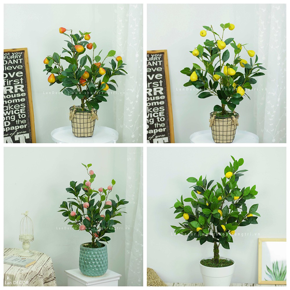Cây giả - Cây chanh mỹ, đào, lê vàng, lê má hồng để bàn, trang trí tự nhiên như thật LanDecor | BigBuy360 - bigbuy360.vn