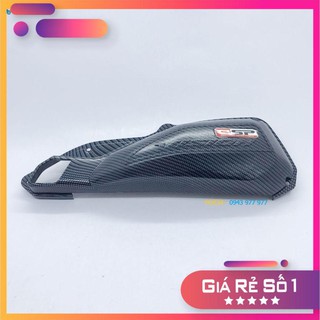 Phu kien trang tri xe may gia re !!!!! ốp pô e vision sơn carbon