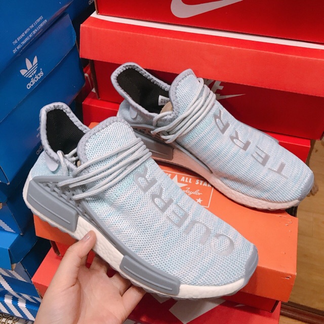 cuerpo terre human race